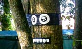 ninjatree | jeanspezial | troyes | tree | france (14 votes)