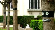 ninjatree | jeanspezial | troyes | tree | france | contextual-face (32 votes)