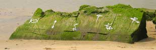 oister | n-g | blockhaus | green | capferret | france (7 votes)