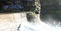 teas | biarritz | fish | france (17 votes)