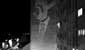 terror | deluxe | quimper | projection | france (1 vote)