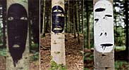 turbo | tree | france | contextual-face (7 votes)