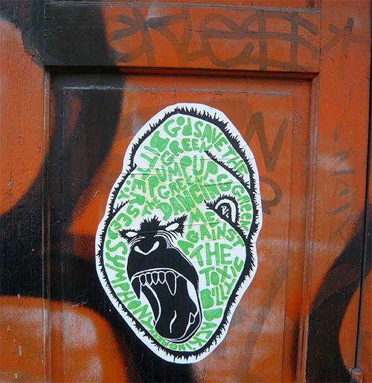 unknown | monkey | aix | france