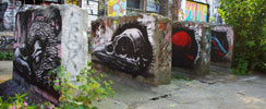roa | bird | berlin | germany (24 votes)