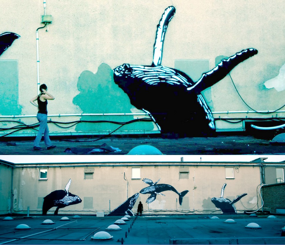 sr-x | koln | whale | germany