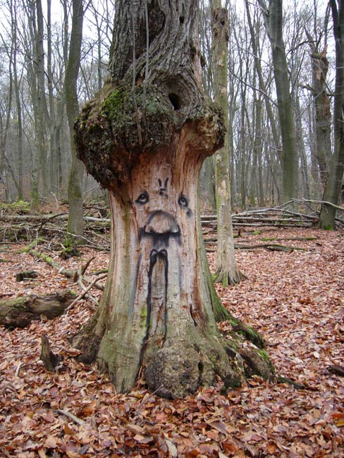 zonenkinder | tree | germany