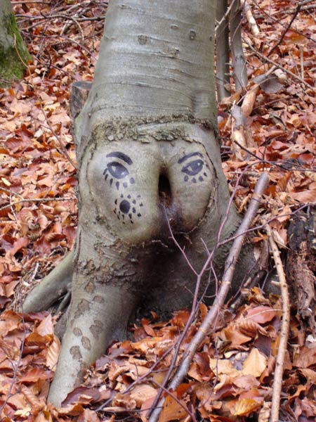 zonenkinder | tree | germany