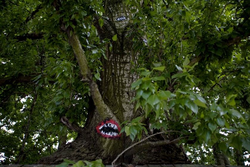 emajones | berlin | tree | germany