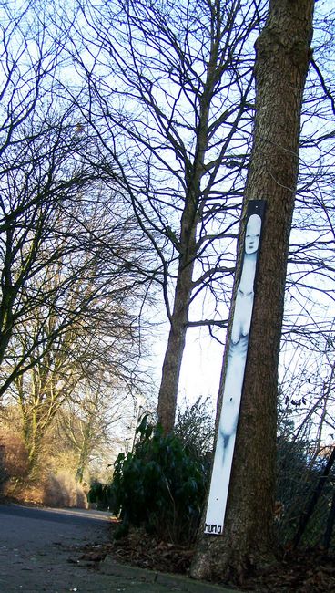 momo- | nartur | munster | tree | germany