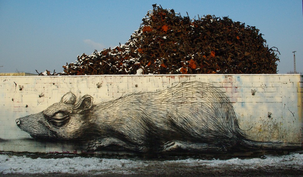 roa | rat | snow | koln | germany