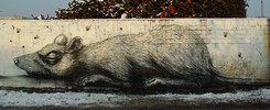 roa | rat | snow | koln | germany (27 votes)