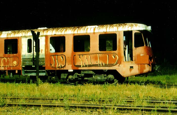 shlomo | trashtrain | dresden | germany