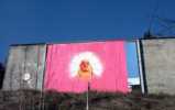 jose | munich | pink | germany (3 votes)