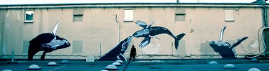 sr-x | koln | whale | germany (47 votes)