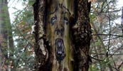 zonenkinder | tree | germany (20 votes)