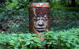 zonenkinder | tree | germany (63 votes)