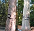 bue | tree | berlin | germany | contextual-face (3 votes)