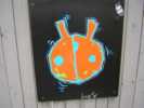 bug | dortmund | germany (2 votes)
