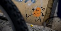 davethechimp | berlin | germany (18 votes)