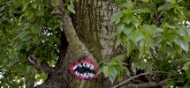 emajones | berlin | tree | germany (13 votes)