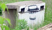 keos | weimar | contextual-face | germany (15 votes)
