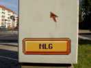 nologo | crew | dresden | germany (1 vote)
