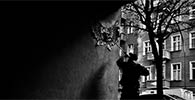 ony2 | action | berlin | germany (30 votes)