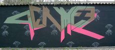 pekmez | germany (17 votes)