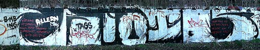 riots | leipzig | germany (30 votes)