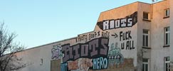riots | leipzig | rooftop | germany (36 votes)