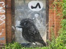 roa | 1010 | bird | berlin | germany (26 votes)