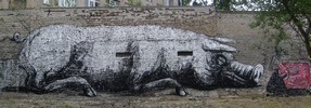 roa | pig | berlin | germany (11 votes)