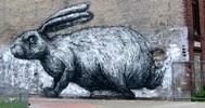 roa | rabbit | berlin | germany (10 votes)