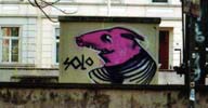 solotalent | koln | germany | pig (4 votes)