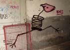 solotalent | koln | germany | pig (2 votes)