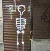 solotalent | skeleton | bonn | germany (2 votes)