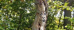 zonenkinder | tree | germany (17 votes)