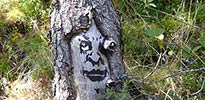 zonenkinder | tree | germany (16 votes)