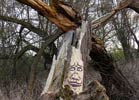 zonenkinder | tree | germany (4 votes)