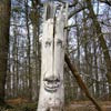 zonenkinder | tree | germany (14 votes)