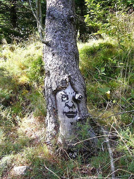 zonenkinder | tree | germany