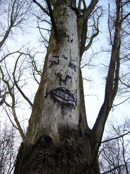zonenkinder | tree | hamburg | germany