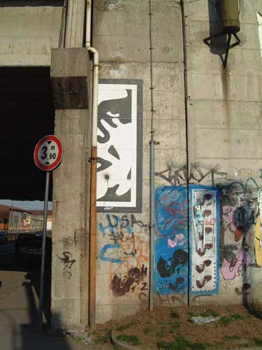 shepard-fairey | milano