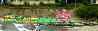 rowdy | tek33 | crocodile | torino | italy (21 votes)