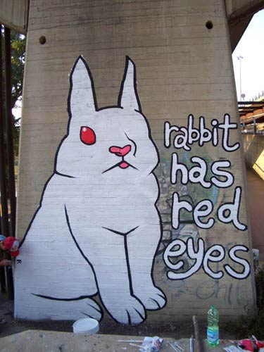 the-burning-heads | rabbit | firenze | italy