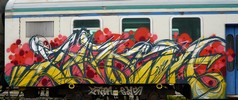 zorba | eys | train | italy (29 votes)