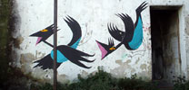 arp | bird | napoli | italy (22 votes)