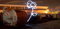 arp | light | flower | night | roma | italy (31 votes)