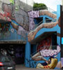 awer | int55 | pig | bari | italy (32 votes)