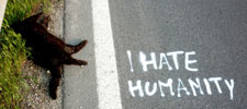 elfo | cat | floor | text-message | italy (57 votes)